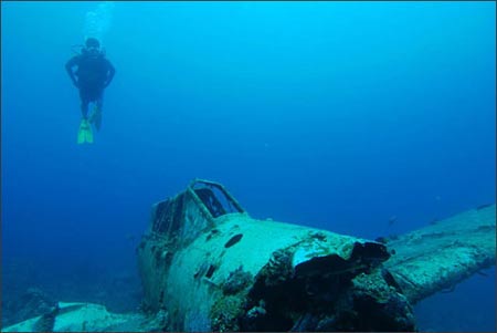 10 thế giới ngầm tuyệt đẹp dưới lòng biển sâu, Du lịch, Du lich bien Thai Lan, the gioi ngam, dao similan, Thai Lan, du lich, du lich viet nam, du lich the gioi, du lich 2012, kinh nghiem du lich, du lich chau au, du lich chau a, kham pha the gioi, dia diem du lich