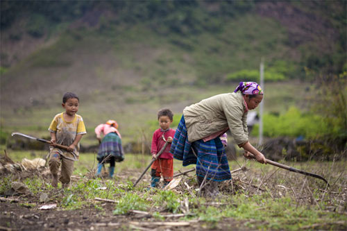 Cao nguyên Mộc Châu đẹp mơ màng, Du lịch, du lich moc chau, moc chau, mua hoa cai, du lich, phong canh, phong canh dep, canh dep the gioi, cao nguyen moc chau