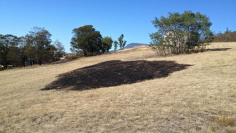 Một vạt cỏ bị thiêu rụi bởi vụ hỏa hoạn tại thị trấn Claremont, bang Tasmania, Australia hôm 2/3.