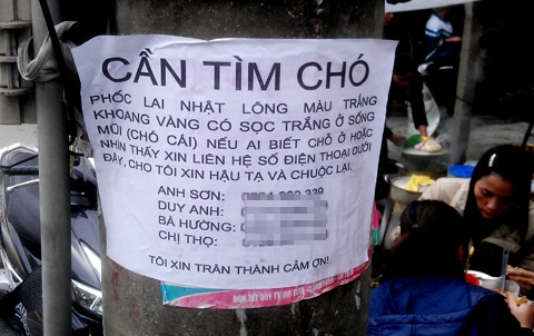 đại gia, tìm chó lạc, chó cảnh, thú chơi của đại gia, thám tử tư, thịt chó