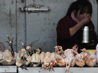 Cảnh chợ thịt gà vẻ ế ẩm, không mấy người dám mua, ở tỉnh An Huy. Ảnh chụp ngày 01/04/2013. REUTERS/Stringer