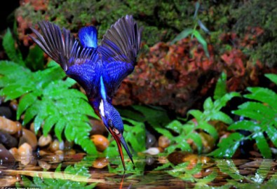 images12