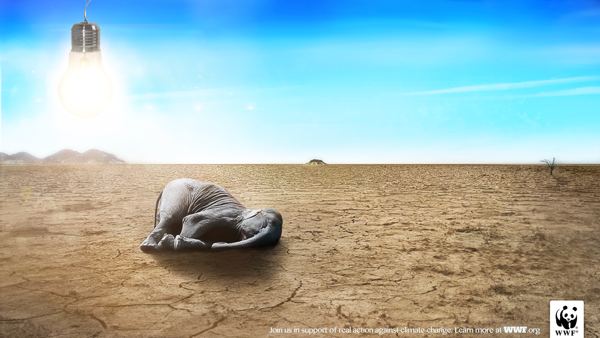 Poster bảo vệ động vật gây ấn tượng mạnh của WWF 4 Poster bảo vệ động vật gây ấn tượng mạnh của WWF 4