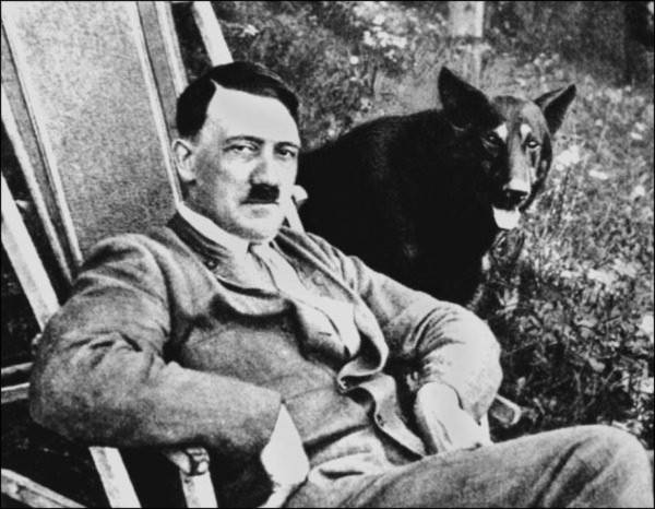 Điều ít được biết về đội quân chó biết nói của Hitler 3