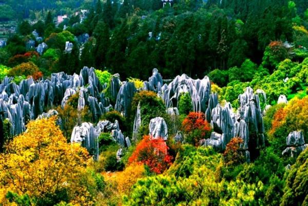 Thăm khu rừng đá khổng lồ được mệnh danh kỳ quan 9