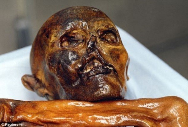 Hé lộ cái chết của xác ướp người băng 5.300 tuổi  1