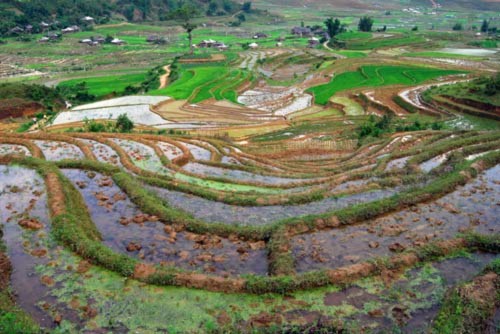 Tây Bắc mùa nước đổ, Du lịch, Tay bac, dia danh dep, du lich, du lich the gioi, canh dep, phong canh dep, anh thien nhien, anh phong canh, wallpaper, hinh anh dep, bao, tin tuc, hinh dep