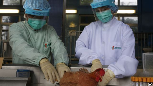 h7n9