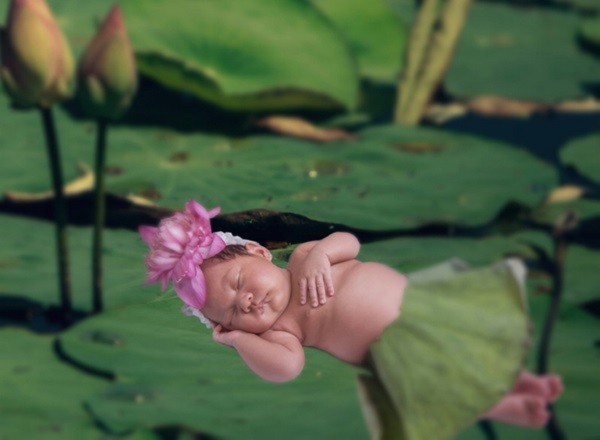 Lý Hải khoe bộ ảnh siêu đáng yêu của con gái 5 Lý Hải khoe bộ ảnh siêu đáng yêu của con gái 5