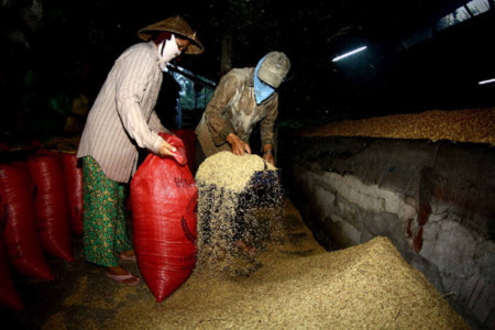 Quy hoạch thương nhân kinh doanh xuất khẩu gạo được xây dựng trên nguyên tắc xác định kinh doanh xuất khẩu gạo là ngành nghề kinh doanh có điều kiện. Quy hoạch thương nhân kinh doanh xuất khẩu gạo được xây dựng trên nguyên tắc xác định kinh doanh xuất khẩu gạo là ngành nghề kinh doanh có điều kiện.