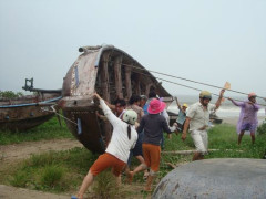 dan da nang chong bao