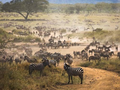 10 công viên quốc gia hoang dã nhất châu Phi - 1
