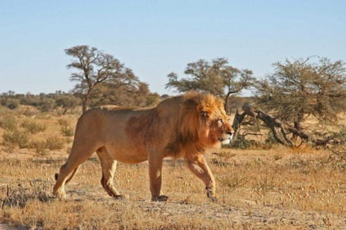 10 công viên quốc gia hoang dã nhất châu Phi - 11