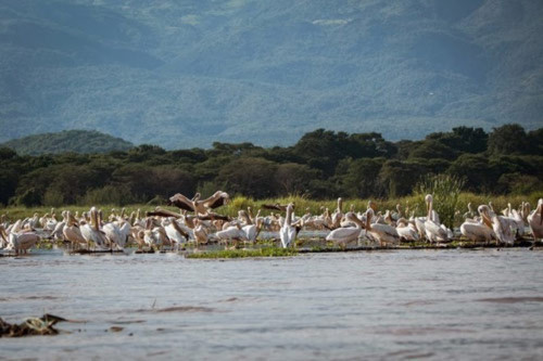 10 công viên quốc gia hoang dã nhất châu Phi - 13