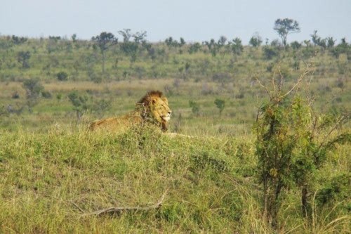 10 công viên quốc gia hoang dã nhất châu Phi - 8