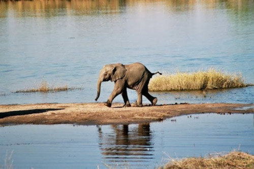10 công viên quốc gia hoang dã nhất châu Phi - 9