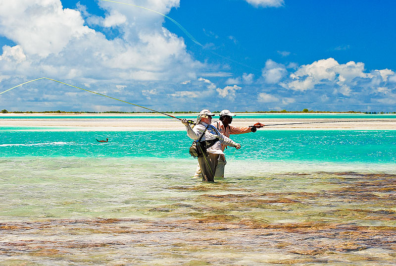 Ngắm hòn đảo