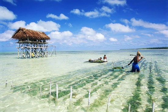 Ngắm hòn đảo Ngắm hòn đảo