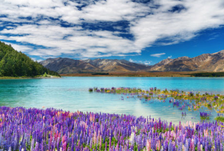 Chiêm ngưỡng 7 hồ nước đẹp nhất New Zealand