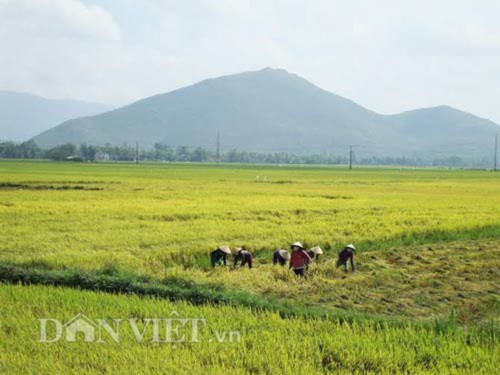 Bình minh trên núi mắng Trời ở Bình Định - 6