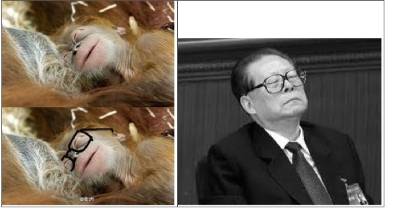 Khỉ “đeo” kính trông rất giống Giang Trạch Dân. (Hình ảnh Network)