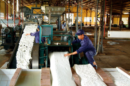Chất lượng cao su của Việt Nam hiện chưa được quản lý tốt (ảnh minh họa). Chất lượng cao su của Việt Nam hiện chưa được quản lý tốt (ảnh minh họa).