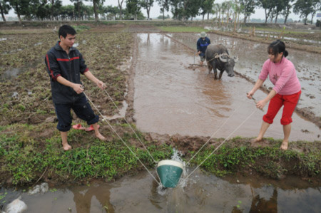 Thực hiện dồn điền đổi thửa cần phải đảm bảo nguyên tắc công khai, dân chủ, có sự đồng thuận của nhân dân.