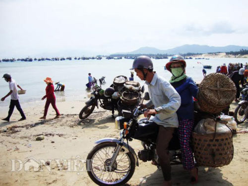 Về Mũi Rồng nơi biển trời mênh mông - 5