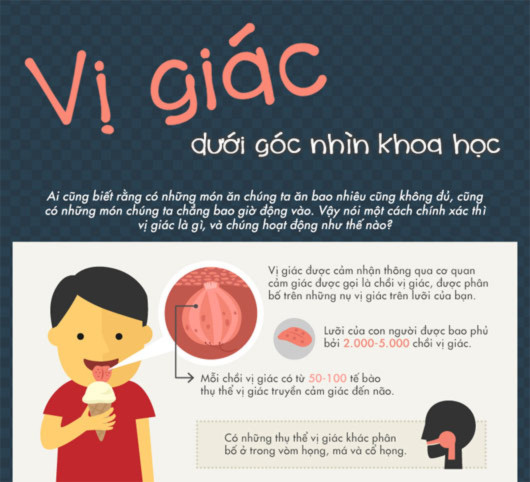 Vị giác dưới góc nhìn khoa học