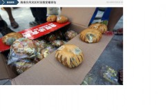 Người dân ở một làng thuộc thành phố Weichang của tỉnh Hải Nam, phía Nam Trung Quốc đã nhận được một thùng toàn bánh mì mốc trong chuyến hàng cứu trợ thiên tai vào ngày 20/7/2014, sau khi cơn bão Thần Sấm đổ bộ vào Trung Quốc ngày 18/7/2014. Truyền thông của nhà nước Trung Quốc báo cáo việc các nạn nhân của cơn bão này nhận được bánh mì mốc và chăn bông mùa đông từ các cơ quan chính quyền địa phương và từ Hội Chữ thập Đỏ. (Hình ảnh từ Caixin.com)