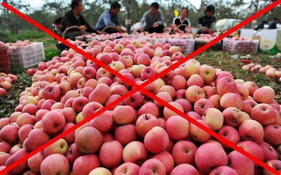 Gần 300 tấn rau quả độc Trung Quốc được nhập về Việt Nam và chỉ được phát hiện sau đó ... 1 năm