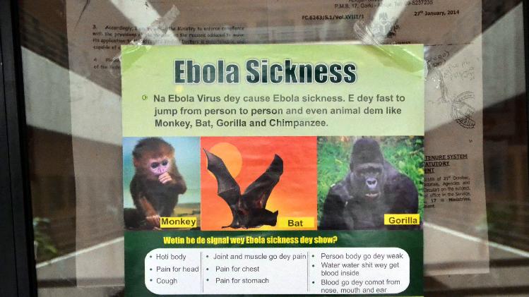 Hôm thứ hai ngày 4 tháng 8, chính quyền Nigeria đã xác nhận trường hợp nhiễm Ebola thứ hai tại đất nước đông dân nhất Châu Phi, đây là một bước lùi đáng báo động vì các chính quyền trong khu vực đang chiến đấu nhằm ngăn chặn sự lây lan của căn bệnh đã làm 700 người thiệt mạng.(Ảnh: nigerreporters.com)