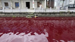 Cuối tuần qua, cư dân tỉnh Ôn Châu, Trung Quốc, thấy nước sông chảy qua thành phố nhuốm một màu đỏ cạch