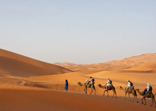 Đã tìm ra tuổi thật của sa mạc Sahara?