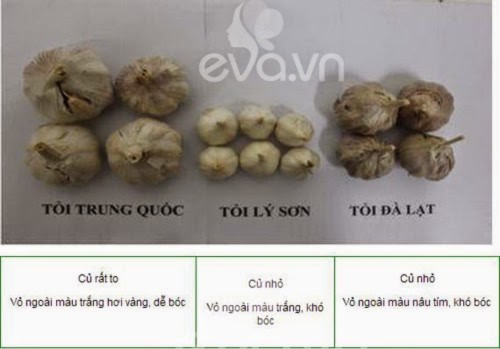 rau quả đà lạt, rau quả Trung Quốc, khoai tây, hành tây, dâu tây, cà rốt, bắp cải, 