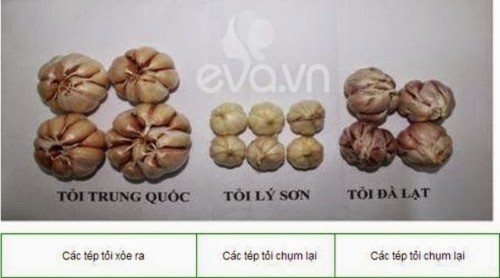 rau quả đà lạt, rau quả Trung Quốc, khoai tây, hành tây, dâu tây, cà rốt, bắp cải, 