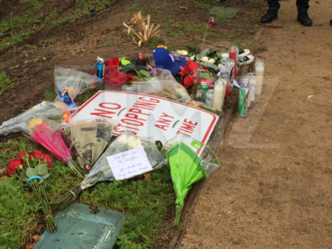 Đồng nghiệp và fan tưởng nhớ Paul Walker 1 năm sau ngày mất 9