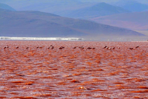Ấn tượng hồ nước đỏ có một không hai thế giới - 2