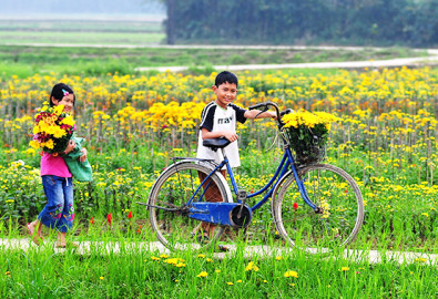 (Ảnh: dulichbennghe.vn)