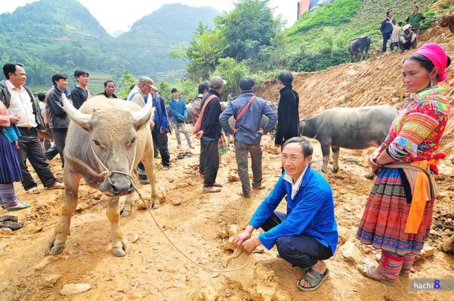 Phiên chợ trâu lớn nhất Tây Bắc