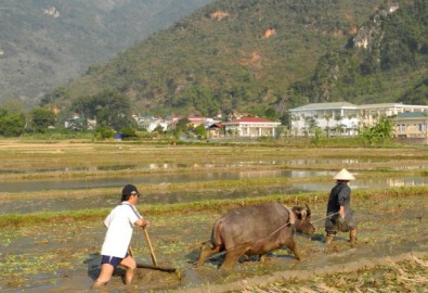 dong bang song cuu long