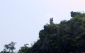 vongphu