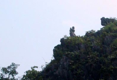 vongphu