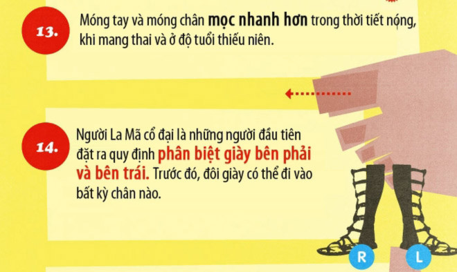 17 sự thật ít biết về bàn chân