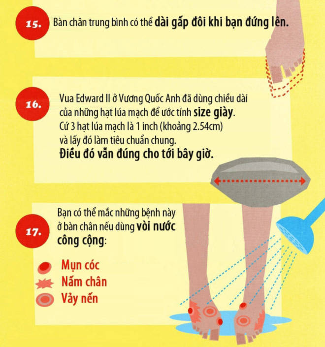 17 sự thật ít biết về bàn chân