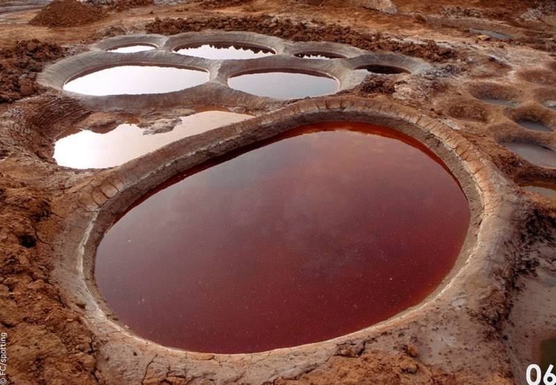 Cánh đồng muối đất sét “độc nhất vô nhị” ở sa mạc Sahara - 7
