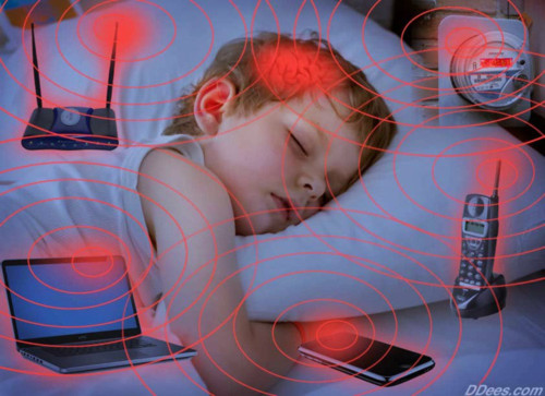 Giật mình Wifi gây giảm trí nhớ, khó thụ thai