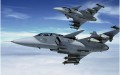 gripen