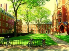 Harvard