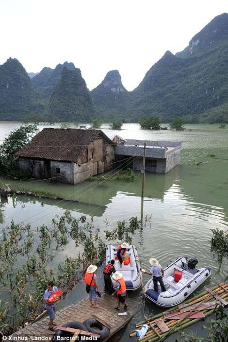 Trung Quốc, Quảng Châu, ô nhiễm môi trường, lợn chết trôi sông, 